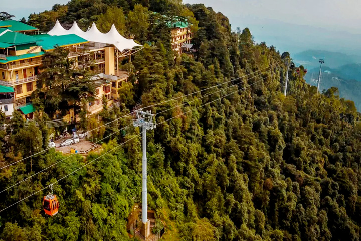 Kasauli Timber Trail