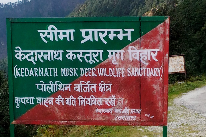 Kedarnath Wildlife Sanctuary