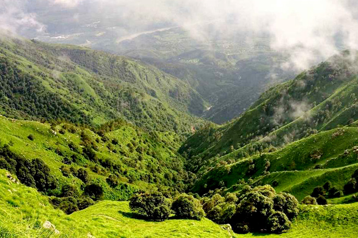 Kedarnath Wildlife Sanctuary