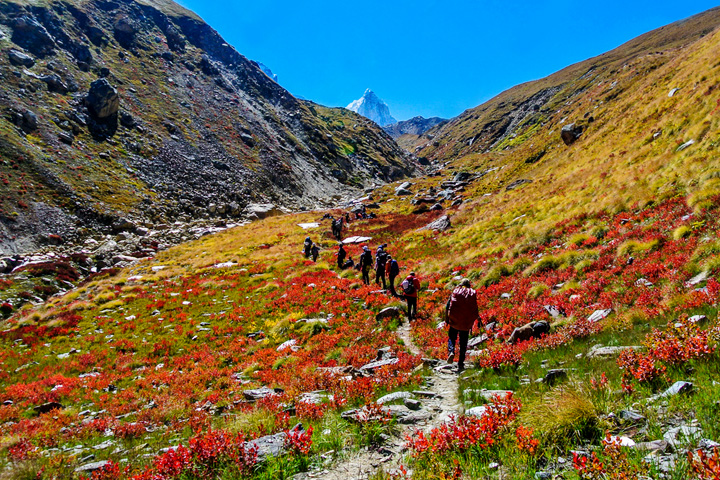 Kedartal Trek