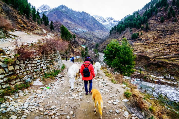 Kheerganga Trek