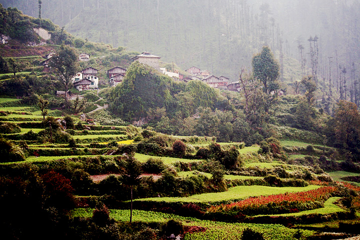 Koti Kanasar Village