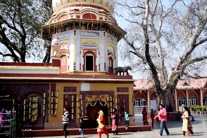 Maa Bala Sundari (Sundri) Temple (Trilokpur Temple)