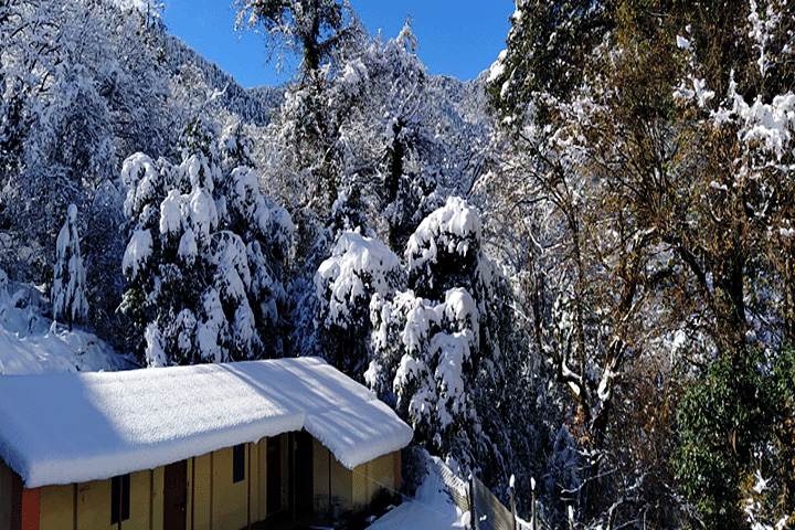 Maharishi Ashram Gajoli