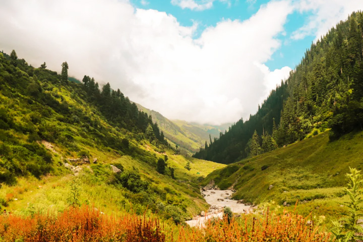 Malana Magic Valley