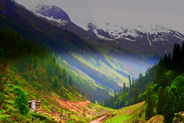 Malana Magic Valley