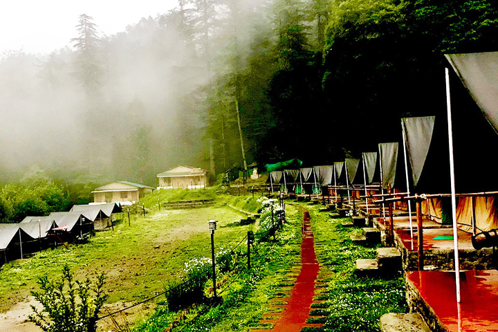 Mashobra Greens Camp