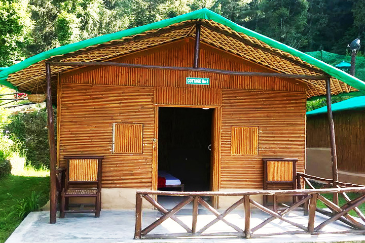 Mashobra Greens Camp