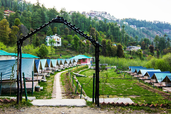 Mashobra Greens Camp