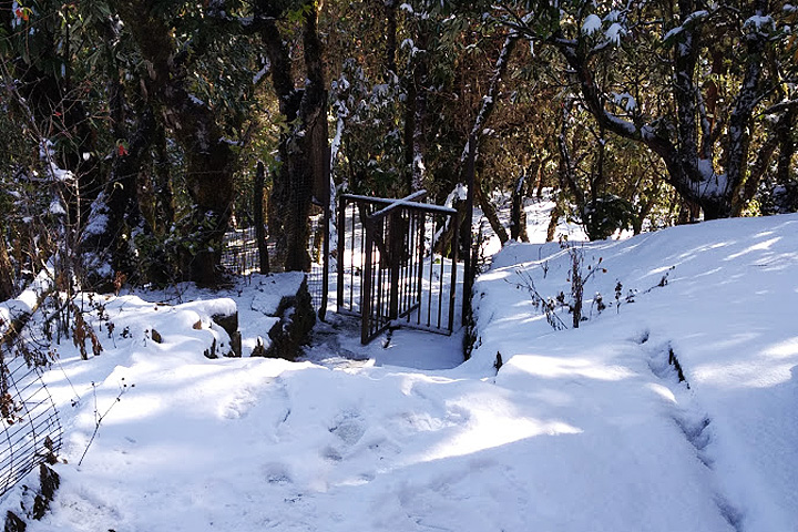 Musk Deer Breeding Farm