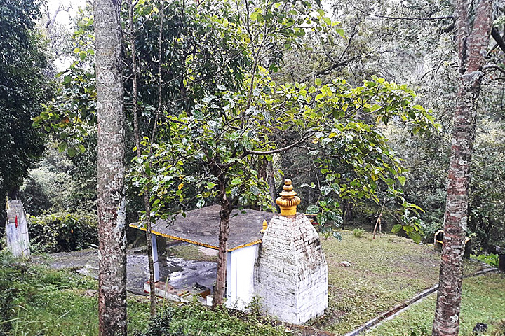 Nakuleshwar Temple