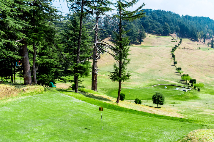 Naldehra Golf Course