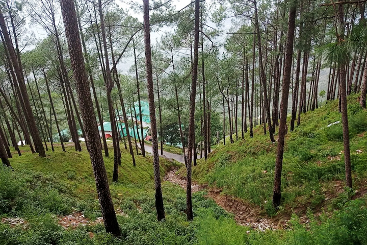 Nanda Devi Eco Park