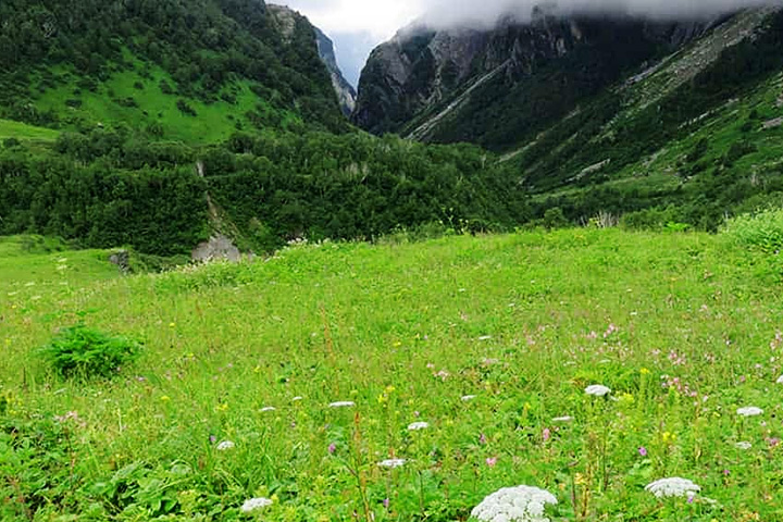 Nanda Devi National Park