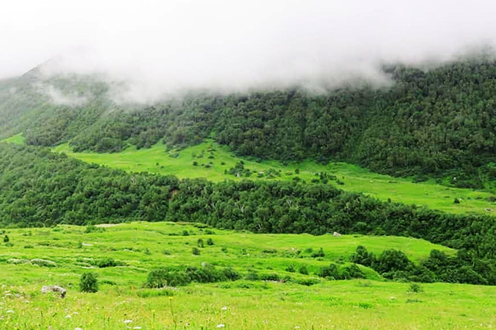 Nanda Devi National Park