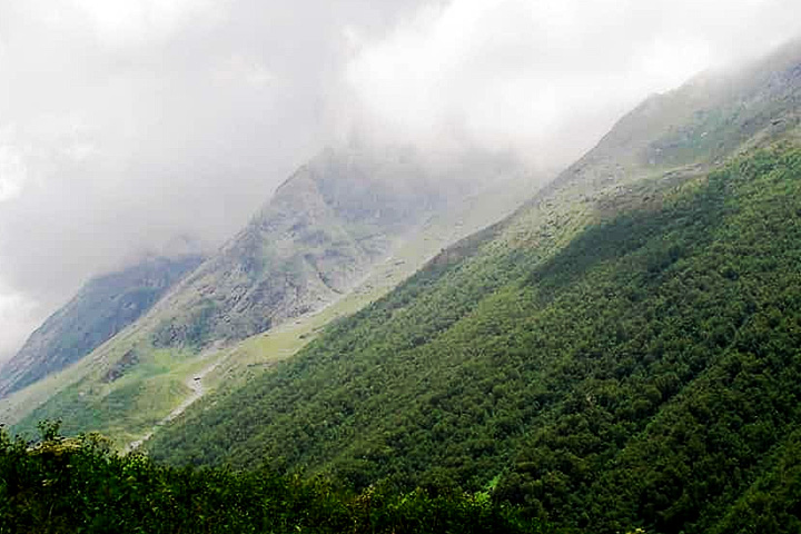 Nanda Devi National Park
