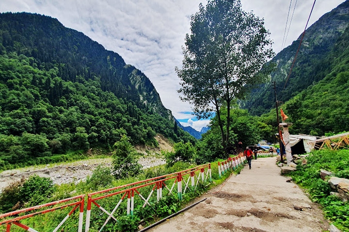 Nanda Devi National Park