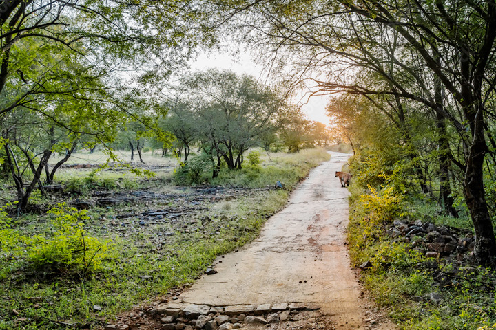 Nandhaur Wildlife Sanctuary