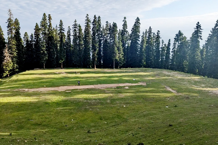 Narkanda Skiing Point