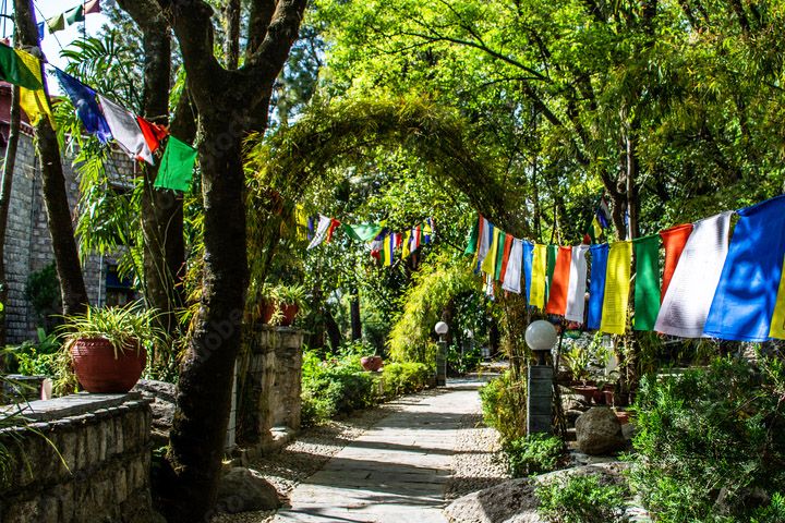 Norbulingka Institute