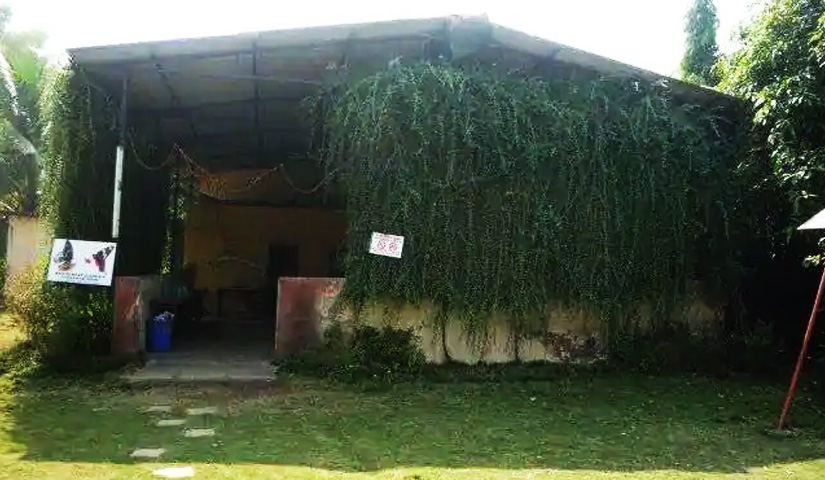 Ovalekar Wadi Butterfly Garden