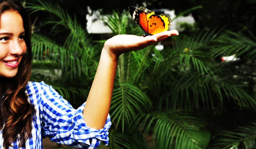 Ovalekar Wadi Butterfly Garden