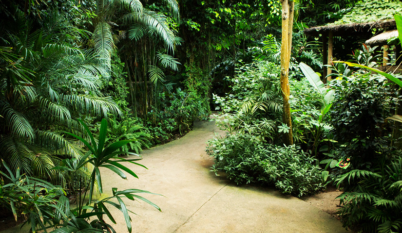 Ovalekar Wadi Butterfly Garden