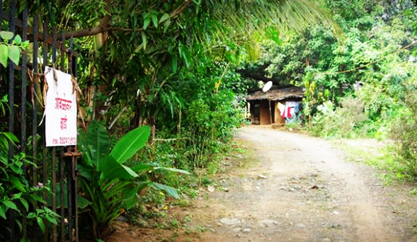 Ovalekar Wadi Butterfly Garden