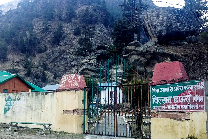 Pahadi Wilson Cottage