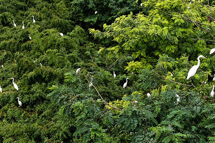 Pangot Bird Sanctuary and Kilbury Wildlife