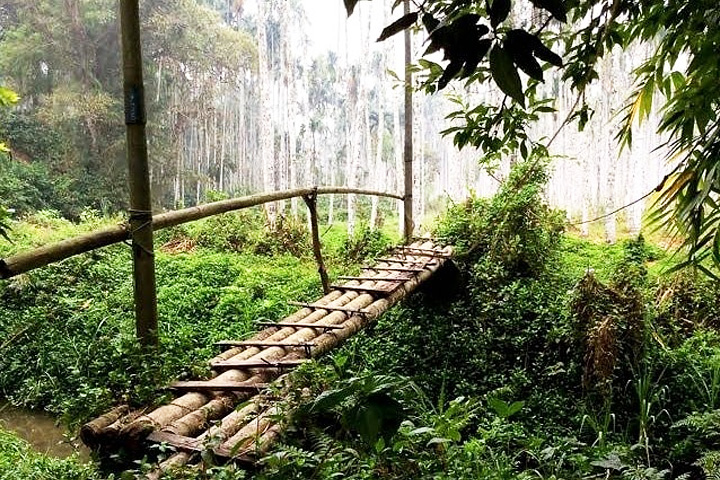 Pangot Bird Sanctuary and Kilbury Wildlife