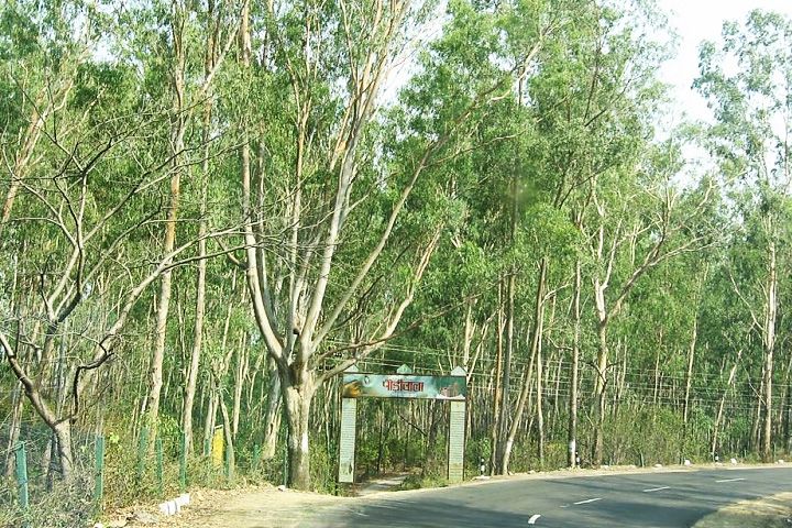 Paudiwala Shiv Temple