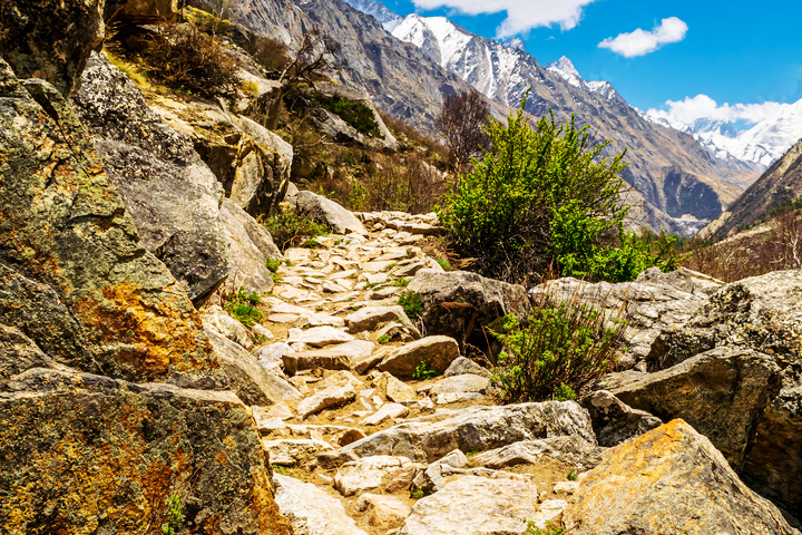 Pindari Glacier Trek