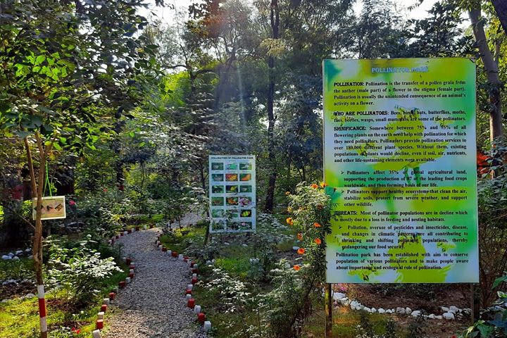 Pollinator Park (Biodiversity Park)