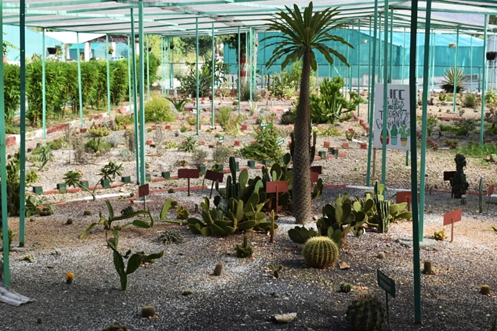 Pollinator Park (Biodiversity Park)