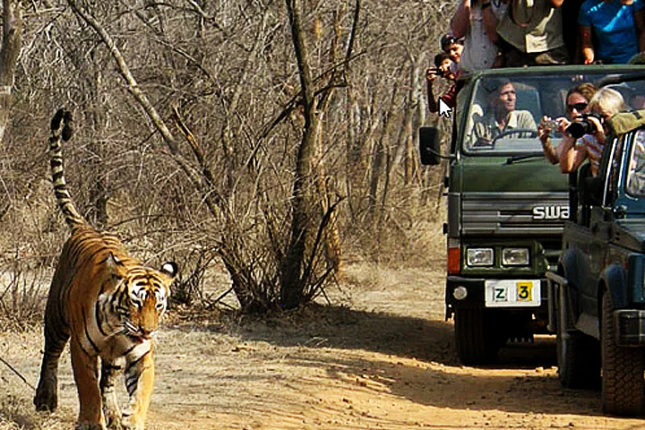 Rajaji National Park