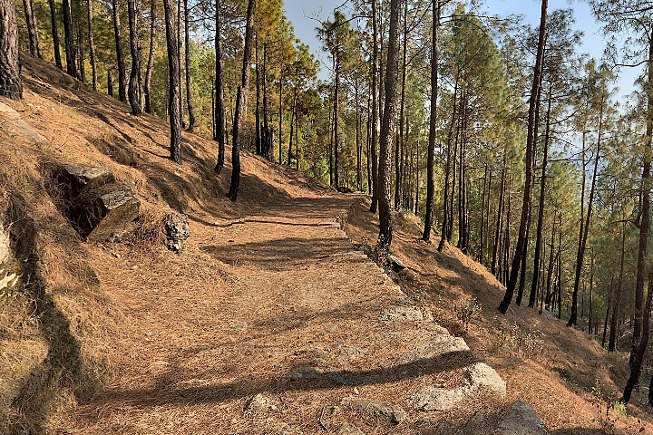 Ram Mandir Chaubatia