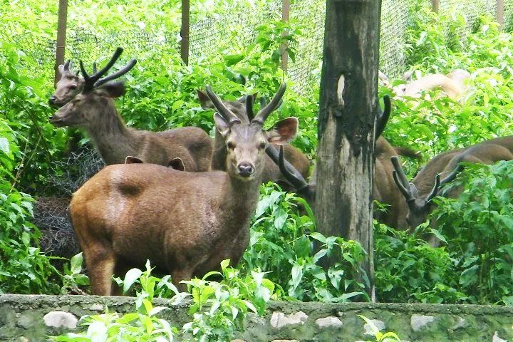 Renuka Wildlife Sanctuary