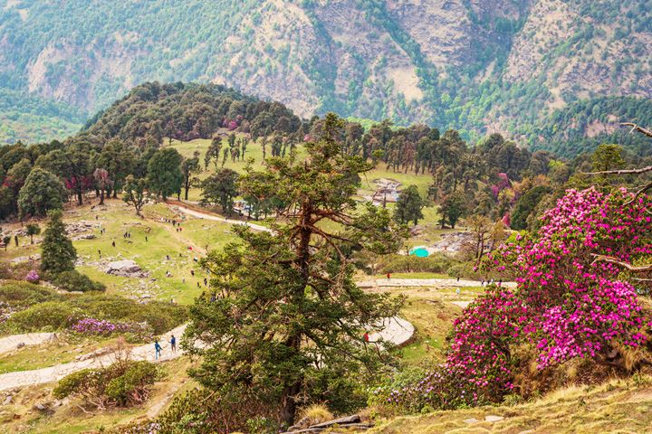 Rohini Bugyal Trek