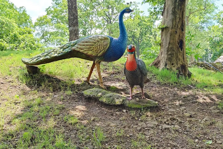 Sainwala Nature Park