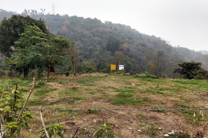 Sainwala Nature Park