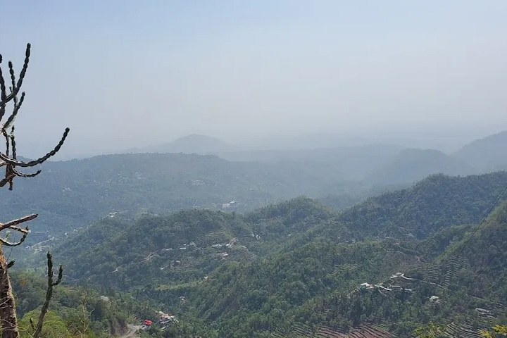 Sainwala Nature Park