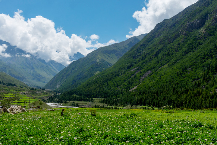 Sangla Meadows (Sangla Kanda)