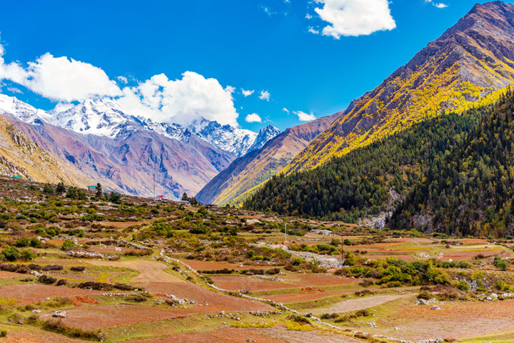 Sangla Meadows (Sangla Kanda)