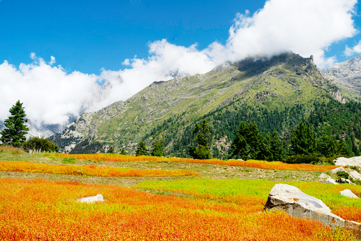 Sangla Meadows (Sangla Kanda)