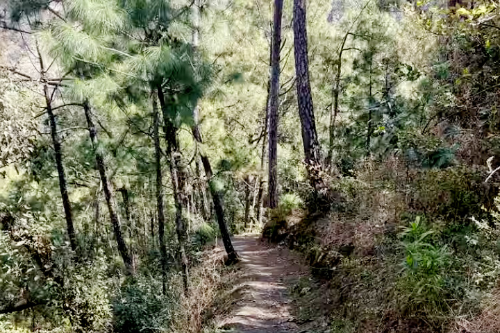 Shilli Wildlife Sanctuary