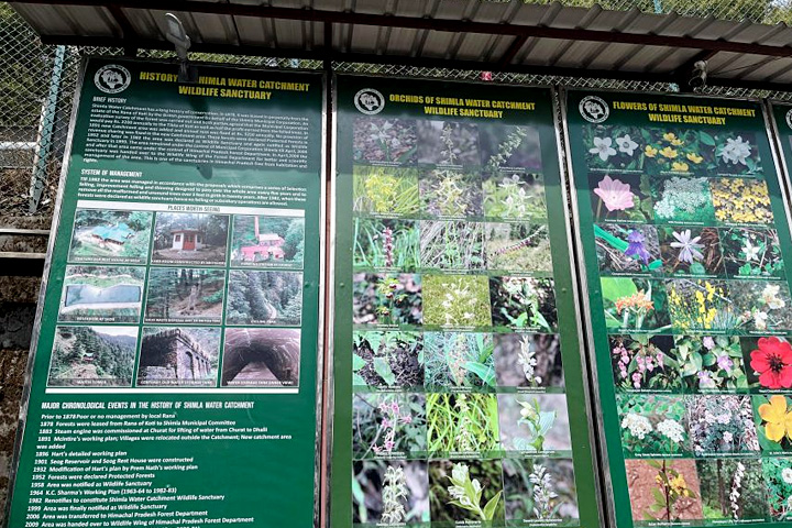 Shimla Water Catchment Wildlife Sanctuary