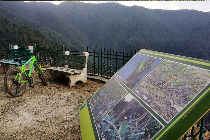 Shimla Water Catchment Wildlife Sanctuary