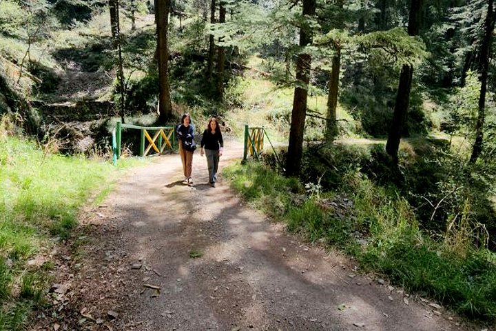 Shimla Water Catchment Wildlife Sanctuary