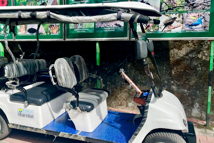 Shimla Water Catchment Wildlife Sanctuary